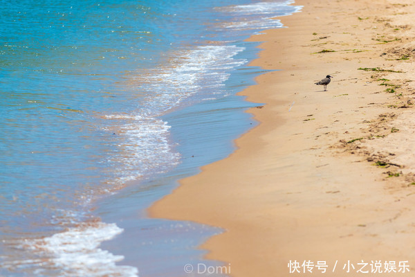 清凉夏日，拥抱星辰大海，西霞口的三天两夜之旅