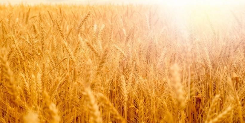 到来|预计10月底，缘分与桃花通通到来，尝有望摆脱单身的四个生肖