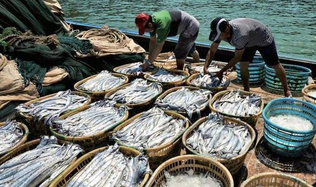 脾气“最大”的鱼,上岸就自尽,一斤18元,至今没人敢养