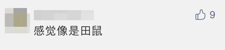 竟然 “广寒宫土特产”已签收！“嫦五”回家第一个找到的竟然是它？