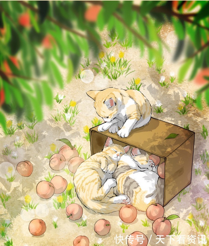 女主|五本男主年代种田文!糙汉男主秒变宠妻狂魔,打下商业帝国全给她