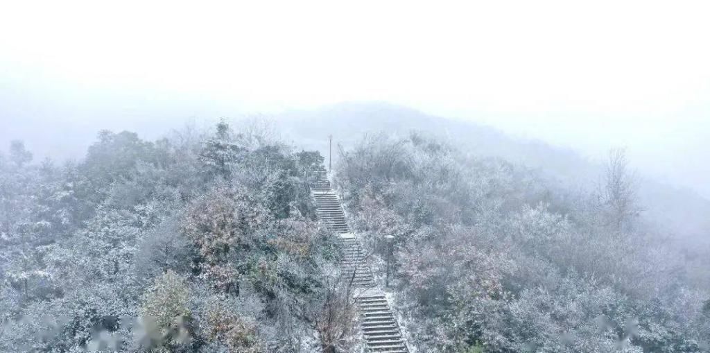 后一|美醉！长沙初雪后一波高颜值照片来袭