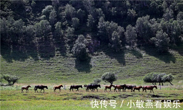 牧歌|初秋走进草原深处，聆听白云、碧草、河流奏响美妙牧歌