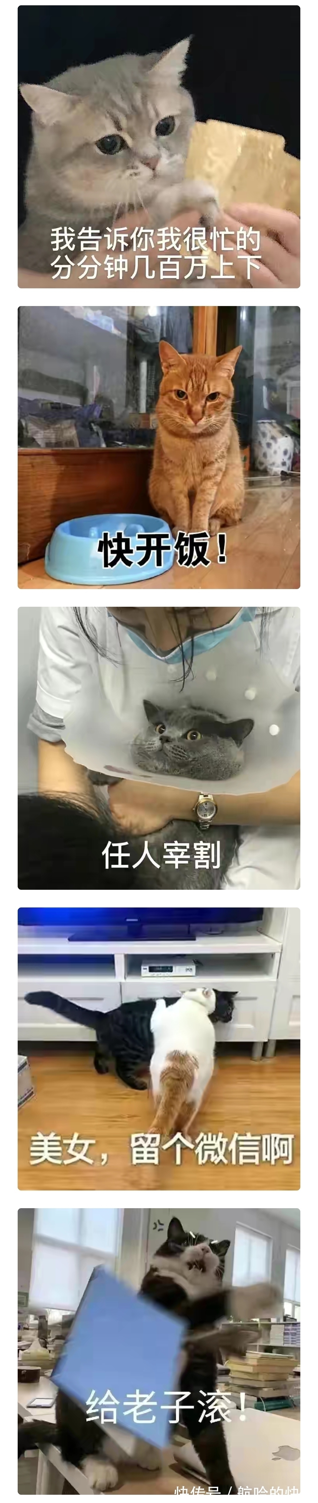 |搞笑图集:我的女朋友在哪里?百度上有你想要的答案