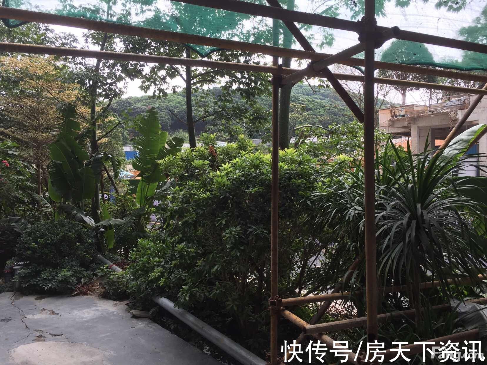 南山|深圳南山高分楼盘的最新现场美图，速来围观