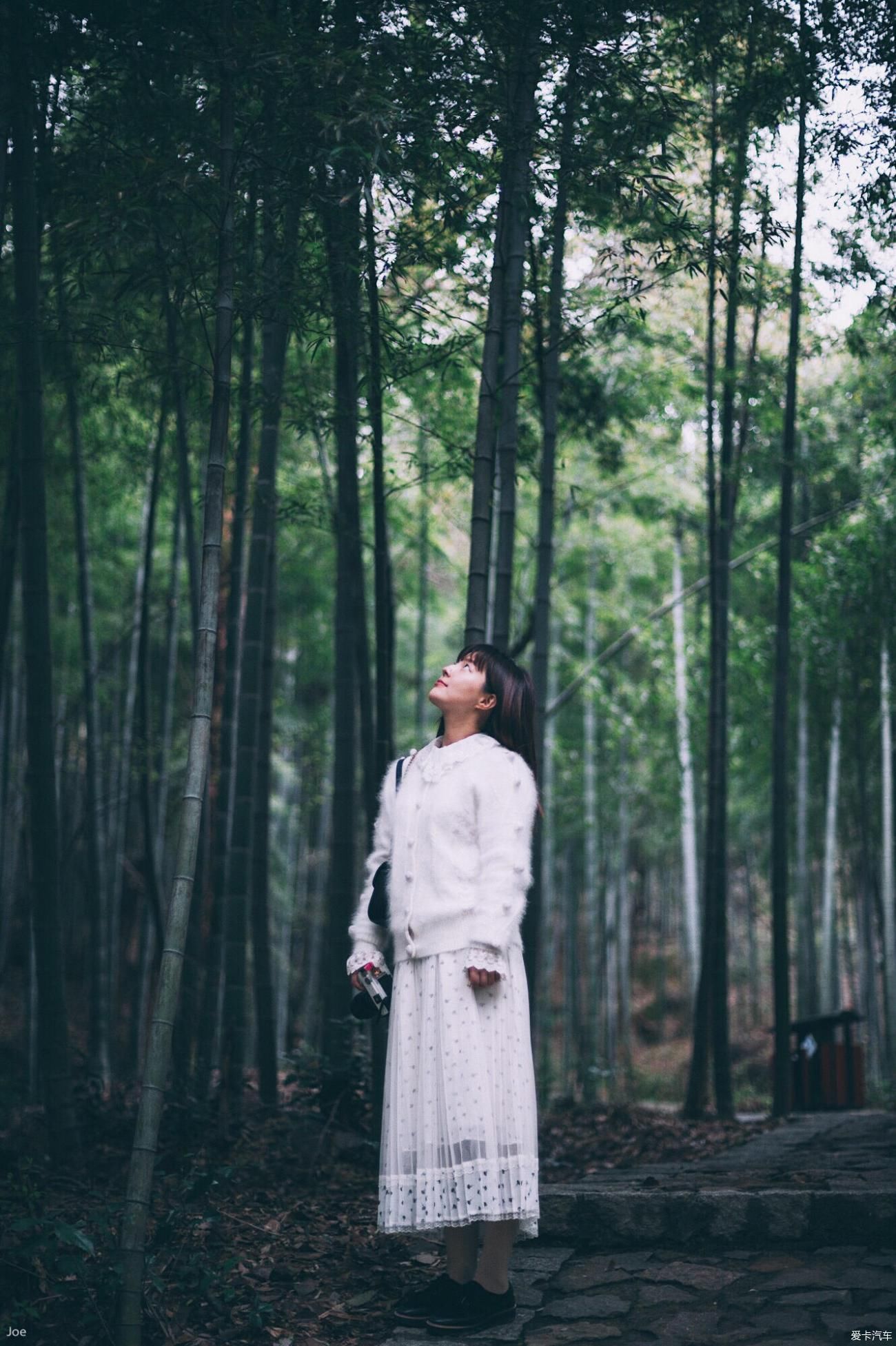 浙江德清下渚湖国家湿地公园环境很美，花美，人美，都很美