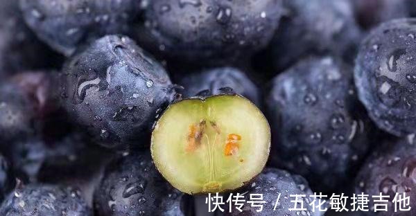 养1盆“耐寒”果树，枝头结满“蓝果子”，年年都能摘鲜甜水果！