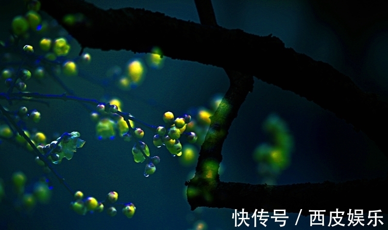 诗家词人$风雪寒天、冬夜漫漫,常人梦正酣,却有诗家词人辗转反侧为哪般?