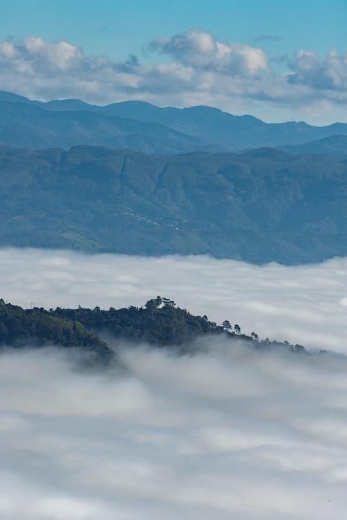 受不了北方的寒冬？不如归隐云南千年古茶山，寻味温暖假期