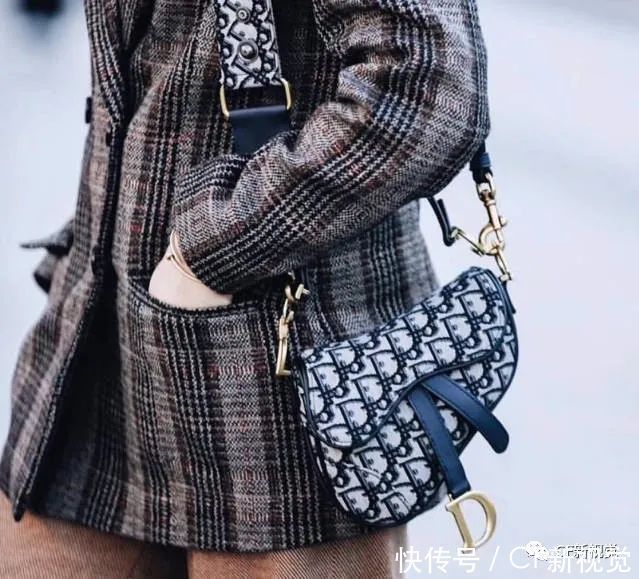 原单奢侈品大小号迪奥Dior马鞍包,到底哪个尺寸更值得买?