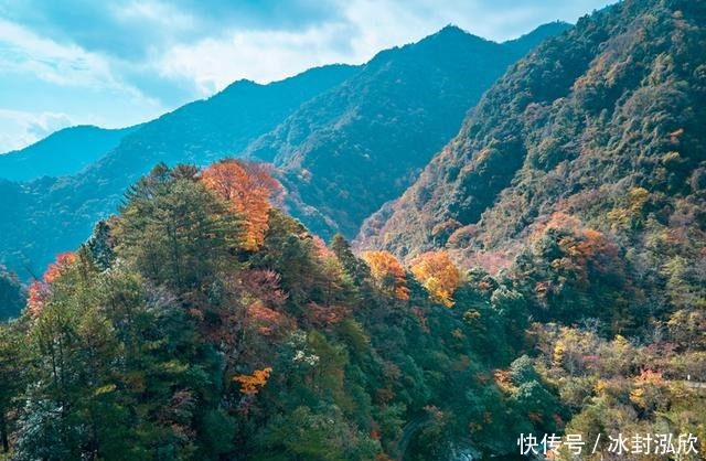 秘境|媲美光雾山！平武这条沟，藏着一个惊艳的彩林秘境！