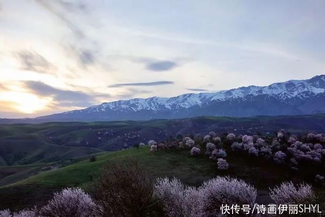 霍城大西沟花海拍摄记