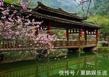 五律|陈子昂的一首五律,细腻生动,开篇充满遐想,尾联更显出疏狂