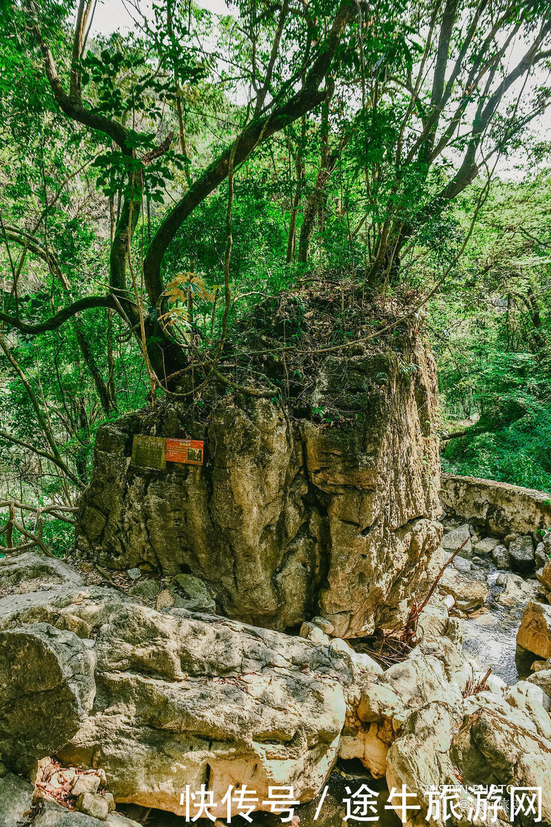 韶关踏青，陷进一汪青山绿水的仙门奇峡世界