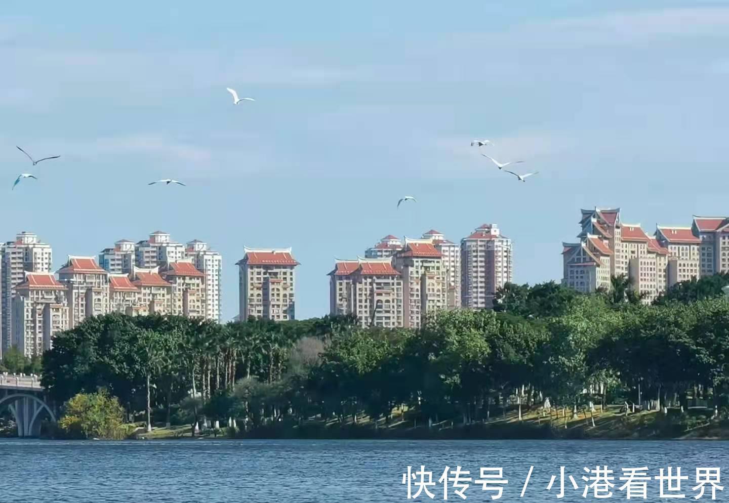 父母|子女不用再争房子,2021年开始,父母的房子全部按新规来继承