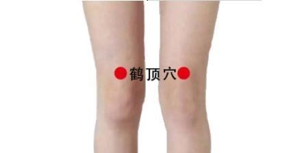  引血|膝盖，人体中转站！只需2招，祛寒止痛、引血下行，激活全身气血