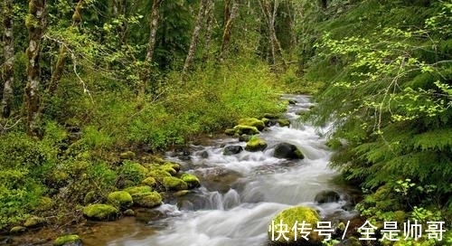 惆怅@许浑羁旅思归，惆怅地吟诵了一首五律，结尾两句更显出人意表