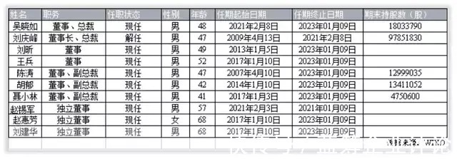 募资|科大讯飞的未来成长在哪里？