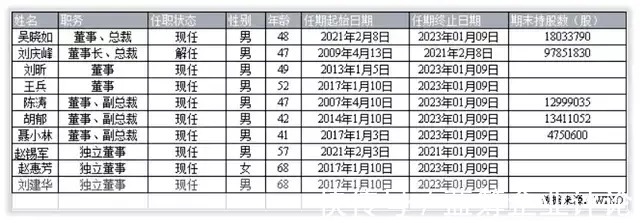 募资|科大讯飞的未来成长在哪里?