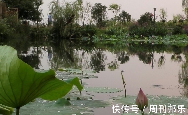 好胜心|从11月20号起，福星高照，财运爆棚，八方来财，注定大富大贵