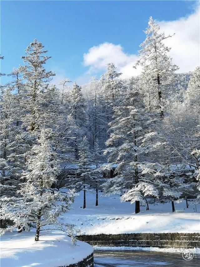 大片来袭！雪后初晴的云南雪山，美出新高度