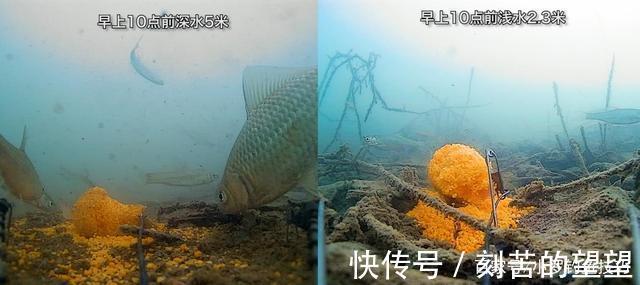 冬季钓鱼,什么时候钓深钓浅鱼窝这样找,深浅都能上鱼