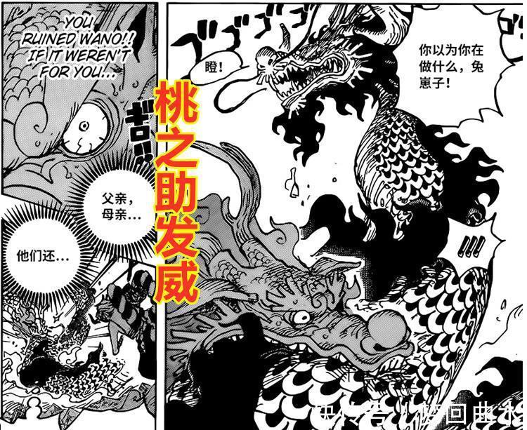 桃之助|海贼王1026话：恶魔果实的崛起，桃之助咬伤凯多，路飞五档要来了