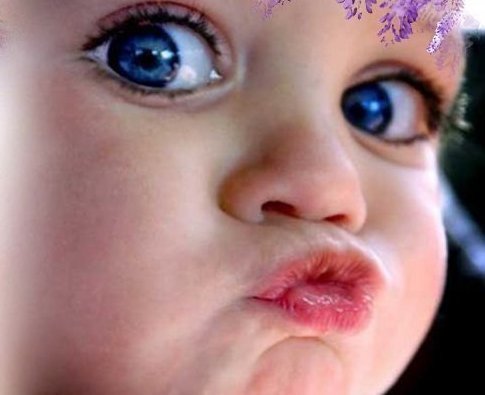 新生儿|宝宝的眼睛,如果有这两个特征,说明智商颇高,你家娃有吗