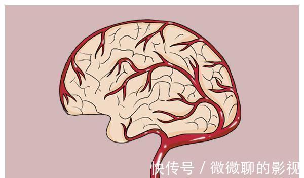 好奇心|孩子头顶的“旋儿”到底是什么？1个旋儿的孩子更聪明？为您解答