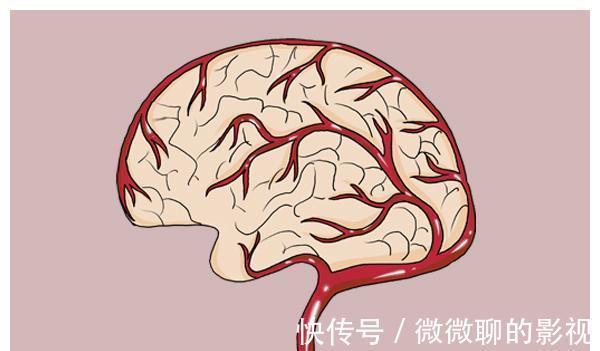 好奇心|孩子头顶的“旋儿”到底是什么?1个旋儿的孩子更聪明?为您解答