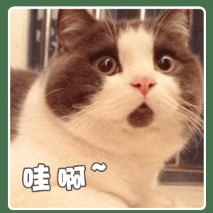 暗影战斧|王者峡谷惊现紫色“超级兵”！携带传送，花木兰宫本自愧不如！