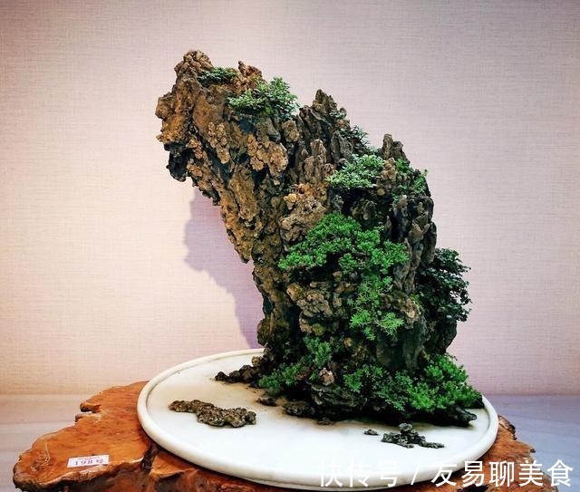 家庭盆景正确的摆放姿势,从4个方面来考虑,解决盆景放置的窘境