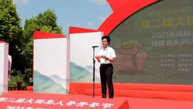 大田 开茶喽!三明大田“美人”娇艳绽放