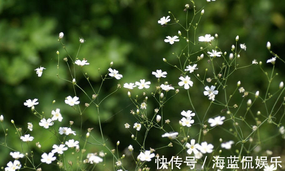 兔女|十二生肖中，男人眼中最好看的生肖女，越看越耐看，越看越喜欢