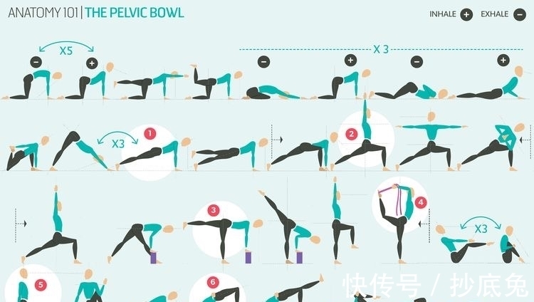 秘密|9幅珍藏级瑜伽挂图，揭开瑜伽老师备课的秘密！