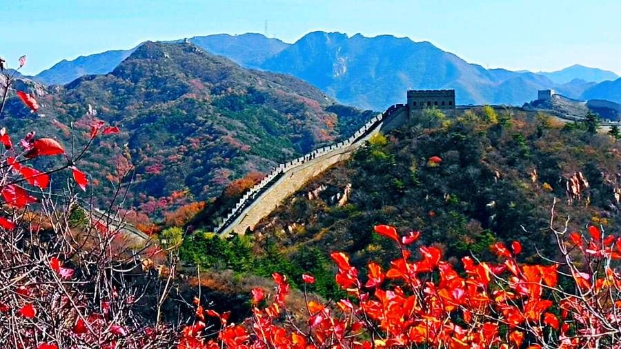 万里长城|巍巍长城亘山川，枫叶流丹，万山红遍，层林尽染，景色万千