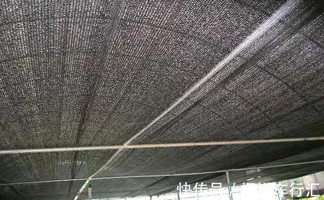 楼顶|家住顶楼太热,该怎样做隔热?我花500元做好,比空调还有用