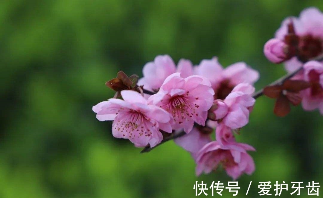 妻子|一个女人要有多绝望,才会去做试管婴儿