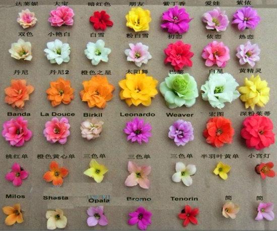 花色|75个长寿花品种，一个比一个美，一起来认识一下吧！