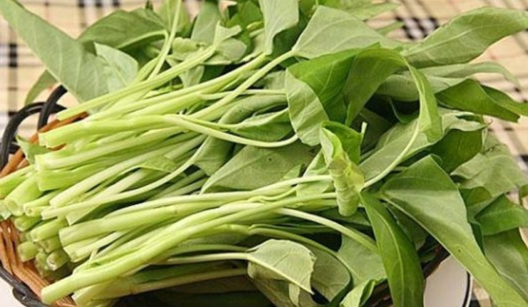 它是天然“碱性蔬菜”,钙是西红柿12倍,7月正当季,遇到就是福