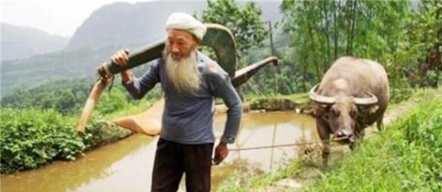 阻挠|老人为儿子的病发愁,愿意出售“家传宝”,却遭到专家的阻挠