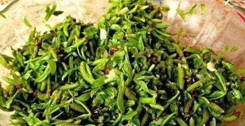 中国公认最好吃的7大野菜,你若是全吃过,请收下我的“膝盖”