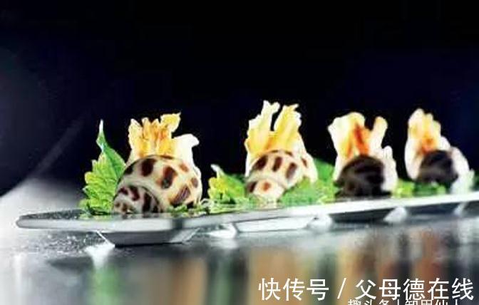 美食推荐：香辣小牛排、藿香浸花螺、豆腐鱼夹制作方法