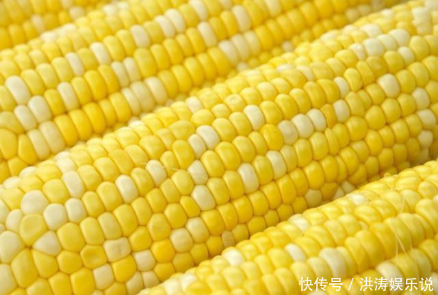 实用|8月趁鲜玉米便宜多囤点!教你个保鲜方法,放1年也鲜嫩,很实用