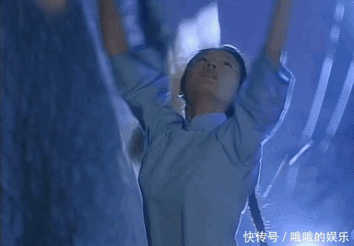 “白莲花”鼻祖董洁上位史,这信息量不是一般的大