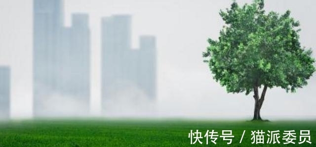 物联网|马云：未来最赚钱5大行业，你有在从事吗？