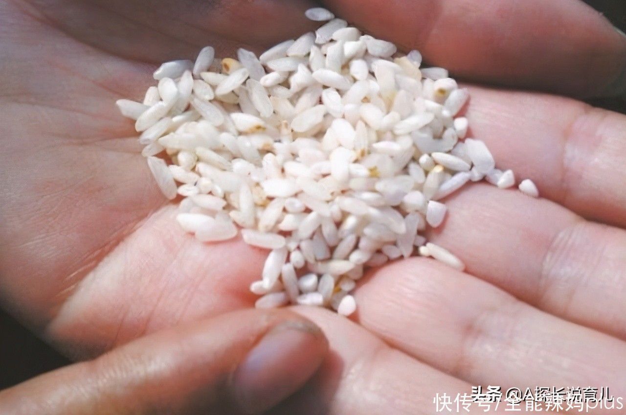 老师|“暑假作业带一万粒大米”宝妈陪娃数到半夜,质问老师遭“打脸”