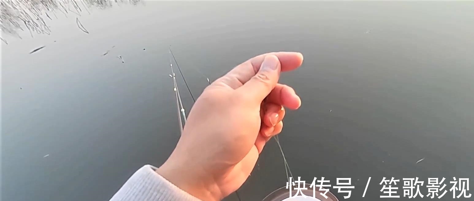 冬至|冬至过后,什么时候是鱼吃饵的高峰期?为什么有人爆护,有人空军