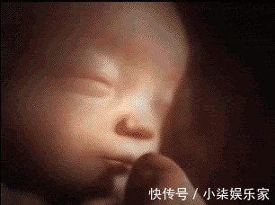 怀孕|孕期胎儿“懒”得动或许和4个原因有关,孕妈妈别冷落了宝宝