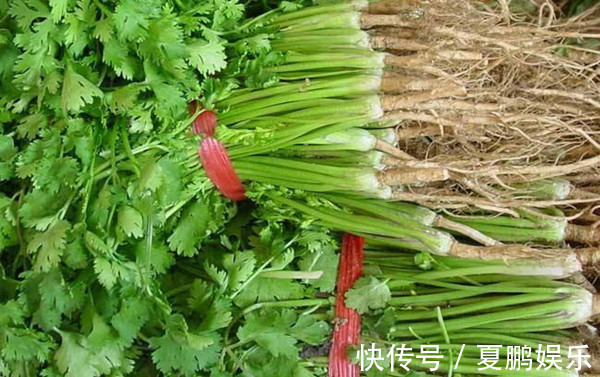 香菜|热水煮一宝,少往医院跑!老中医说了几个小妙方,煮煮就能搞定!